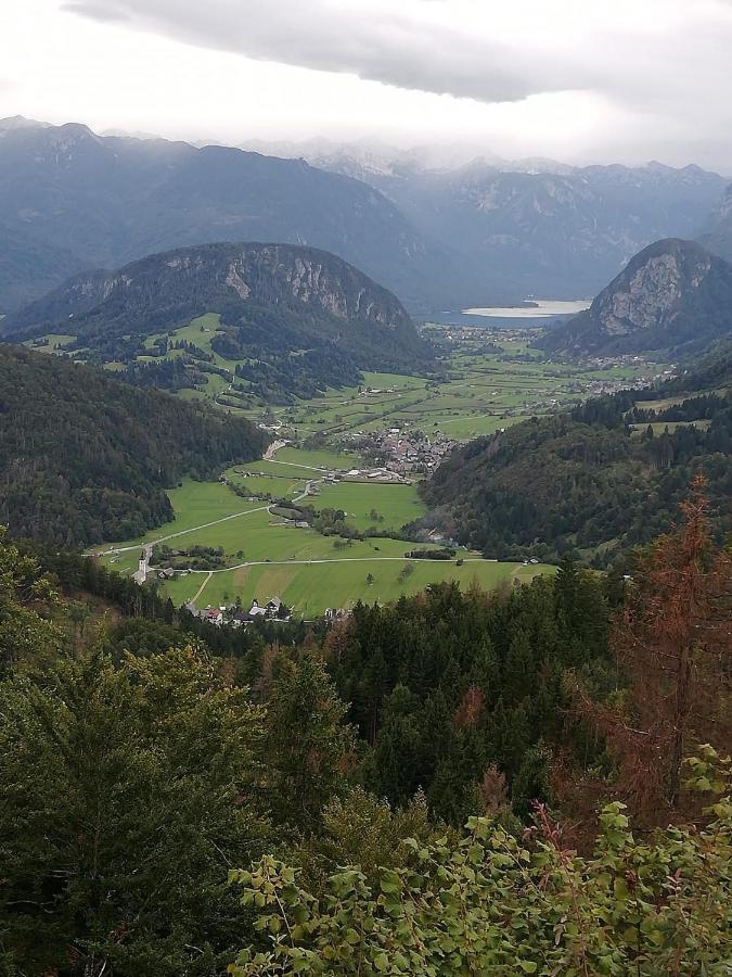 Ferienwohnung Soba Pri Bregarju Bohinj Exterior foto