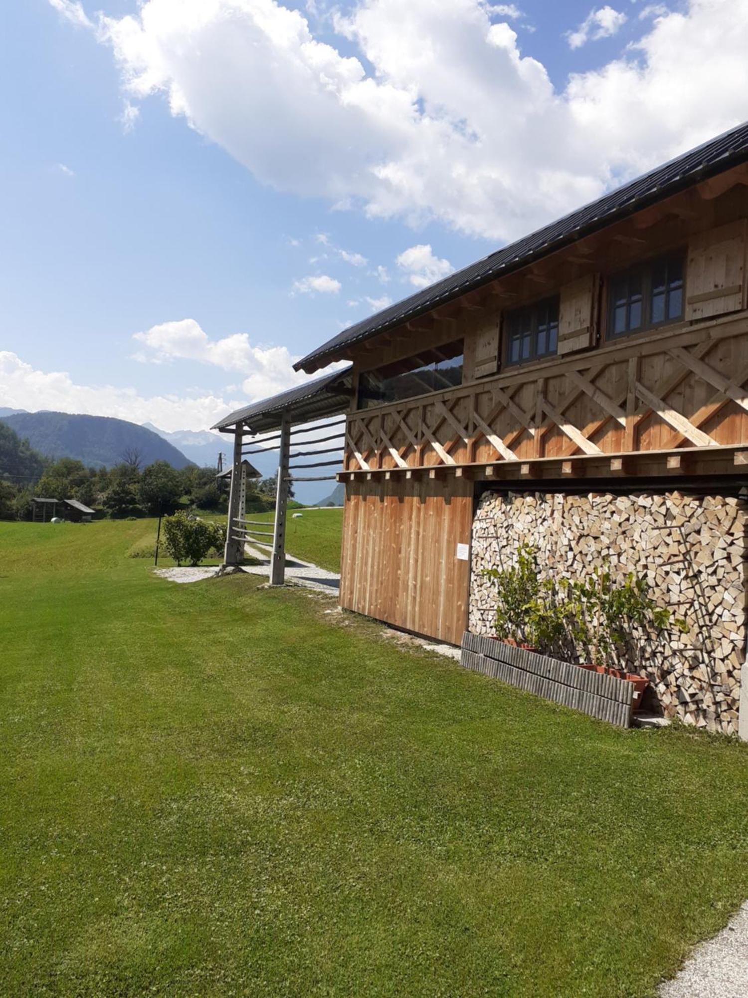 Ferienwohnung Soba Pri Bregarju Bohinj Exterior foto